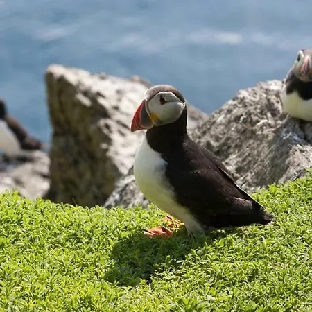 Skellig Ring Self Catering *